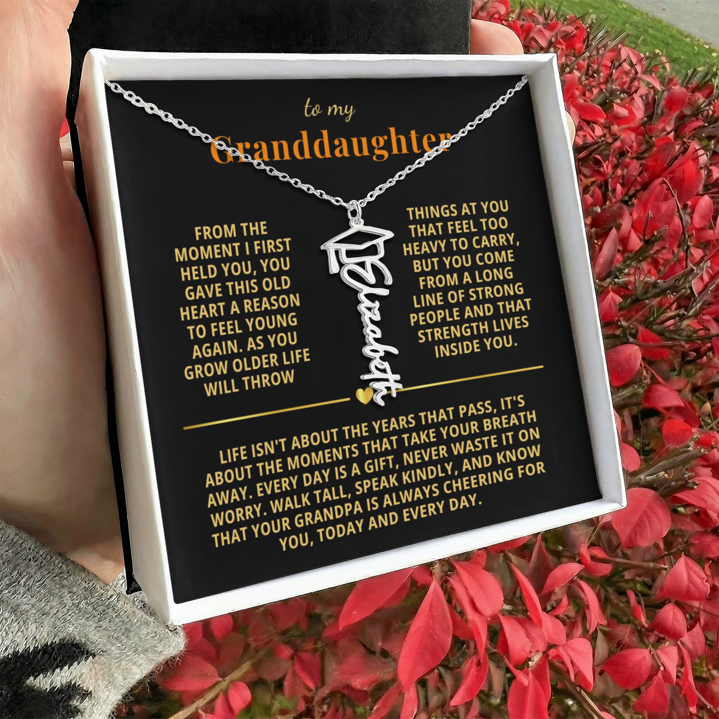 To My Granddaughter - Life isnt About The Years That Pass